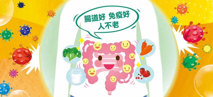 腸胃保健